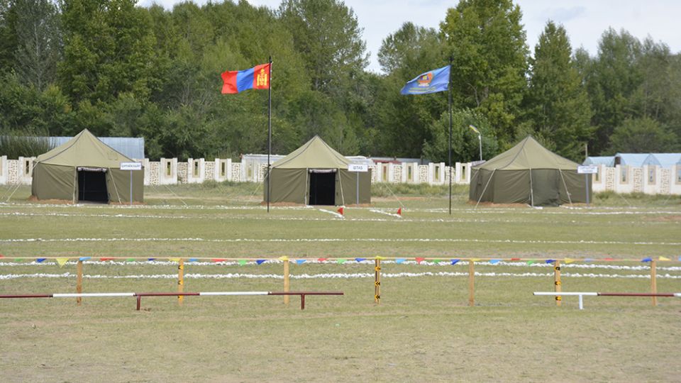 DSC4319-1.jpg